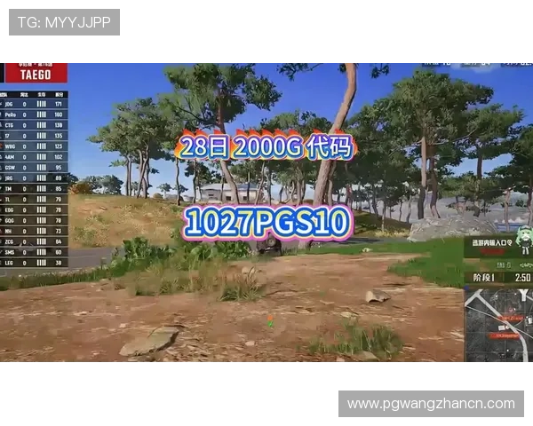 PG娱乐中文站安全可靠的游戏平台介绍，保障玩家账号信息与资金安全