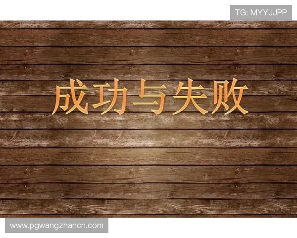 结合实际案例分析ag电子放分的成功经验与失败教训